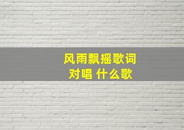 风雨飘摇歌词 对唱 什么歌